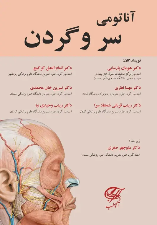 آناتومی سر و گردن آنا طب